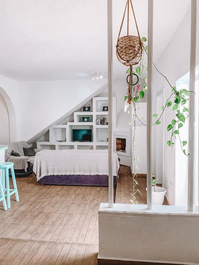 Greentree House Corralejo Luaran gambar