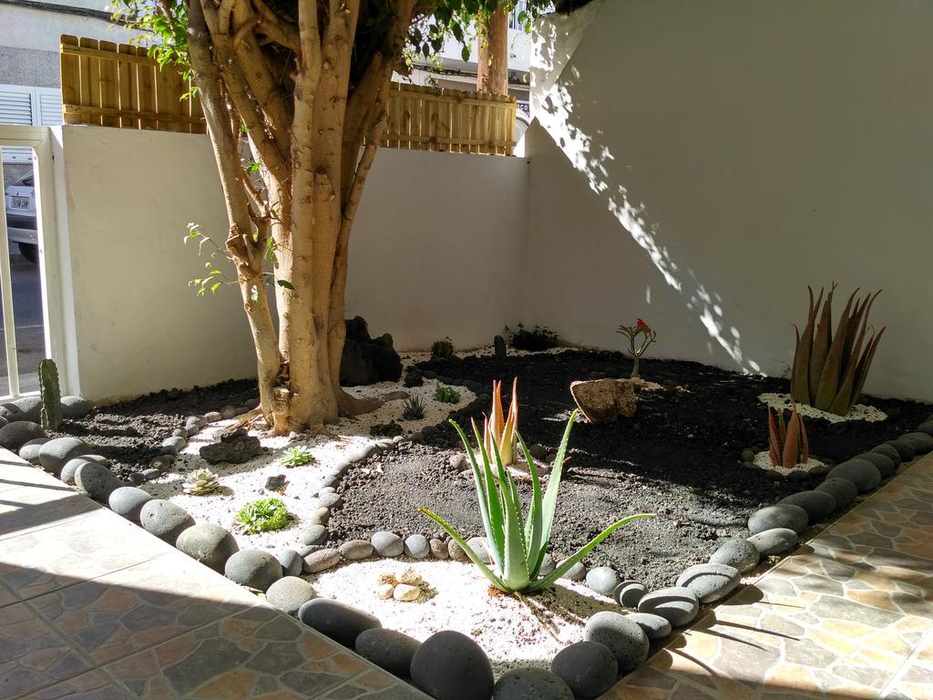 Greentree House Corralejo Luaran gambar